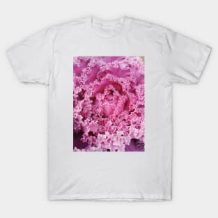 Wild Cabbage - Brassica Oleracea T-Shirt